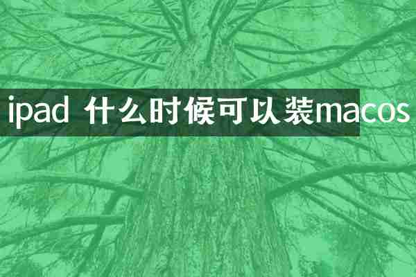 ipad 什么时候可以装macos