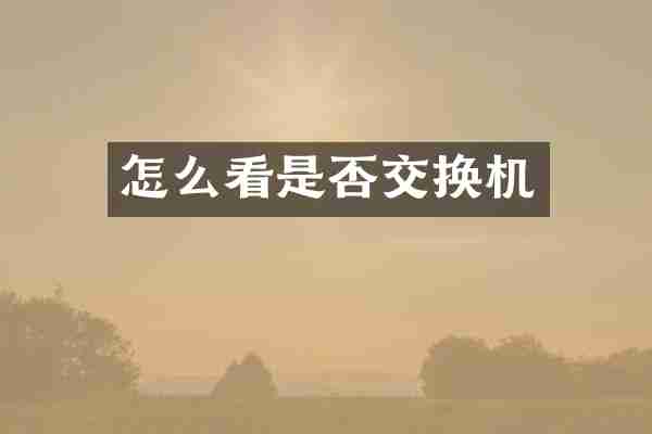 怎么看是否交换机