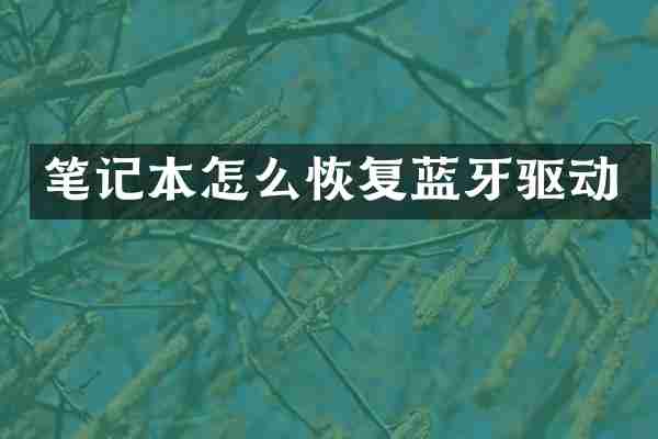 笔记本怎么恢复蓝牙驱动