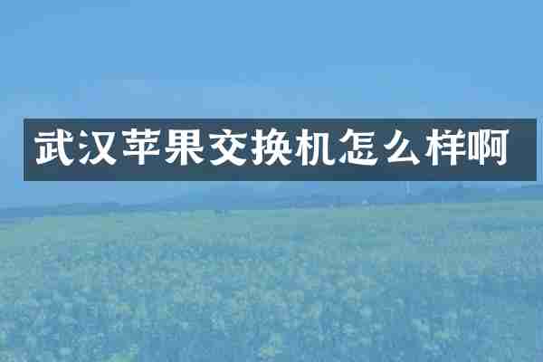 武汉苹果交换机怎么样啊