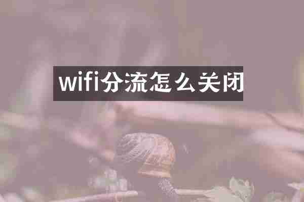 wifi分流怎么关闭
