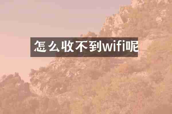 怎么收不到wifi呢