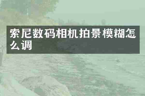 索尼数码相机拍景模糊怎么调