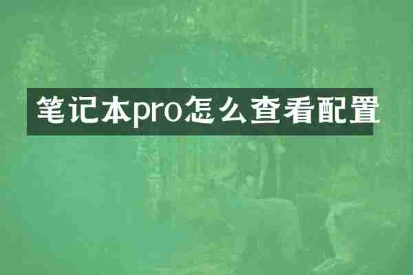 笔记本pro怎么查看配置