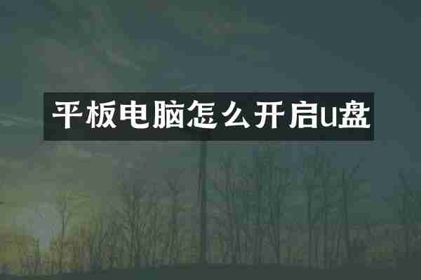 平板电脑怎么开启u盘