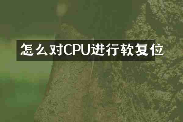 怎么对CPU进行软复位