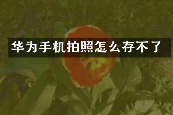 华为手机拍照怎么存不了