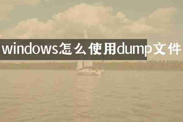 windows怎么使用dump文件