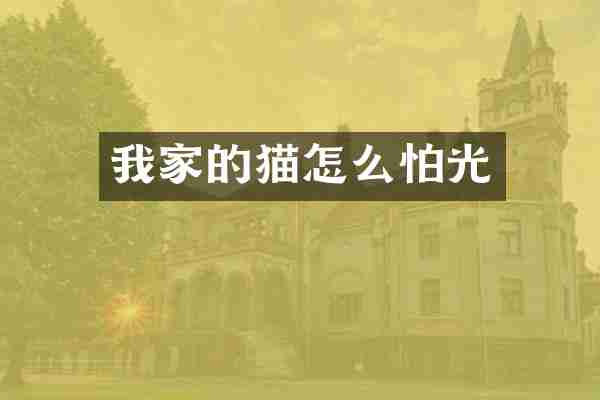 我家的猫怎么怕光