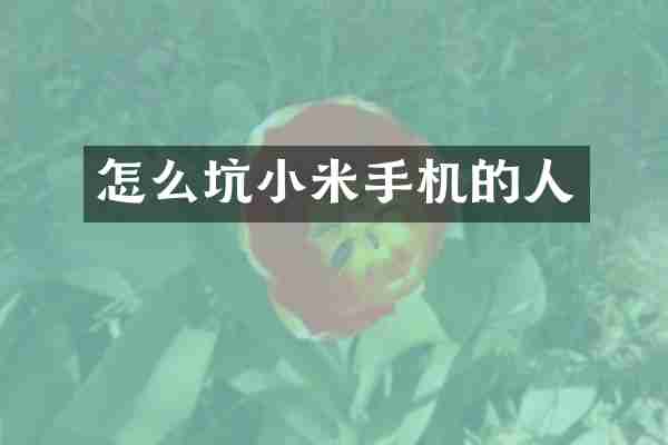 怎么坑小米手机的人