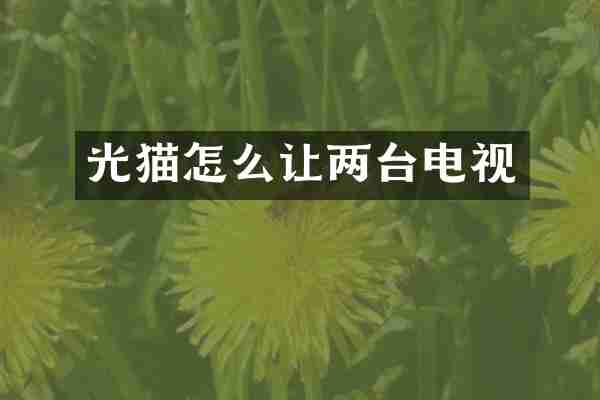 光猫怎么让两台电视