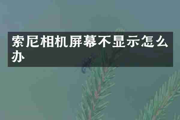 索尼相机屏幕不显示怎么办