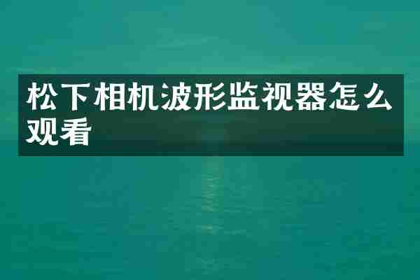松下相机波形监视器怎么观看