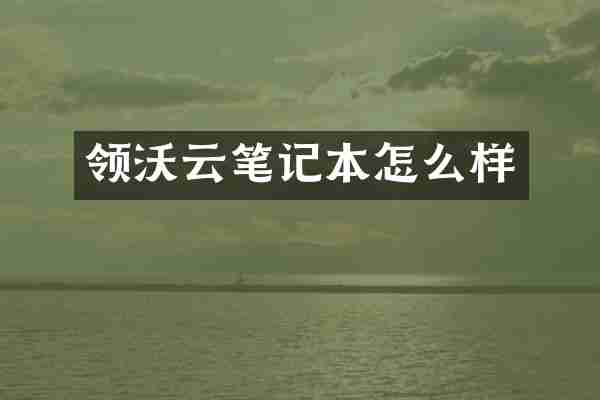 领沃云笔记本怎么样