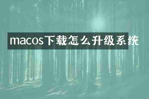macos下载怎么升级系统