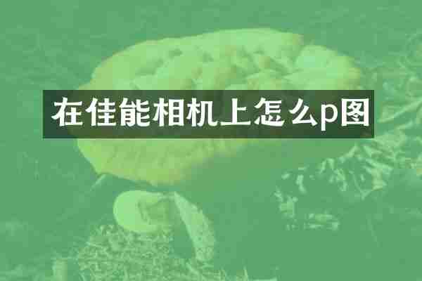 在佳能相机上怎么p图