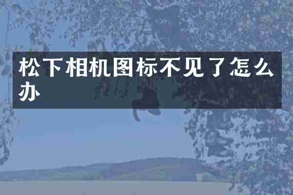 相机图标不见了怎么办