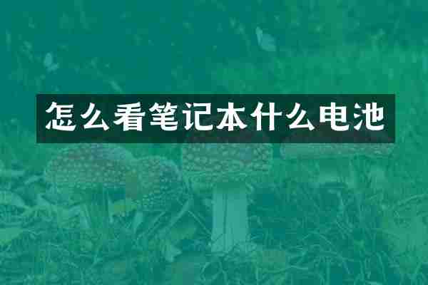 怎么看笔记本什么电池