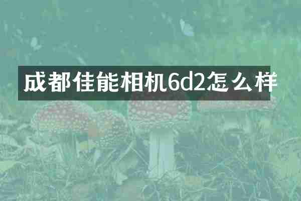 成都佳能相机6d2怎么样