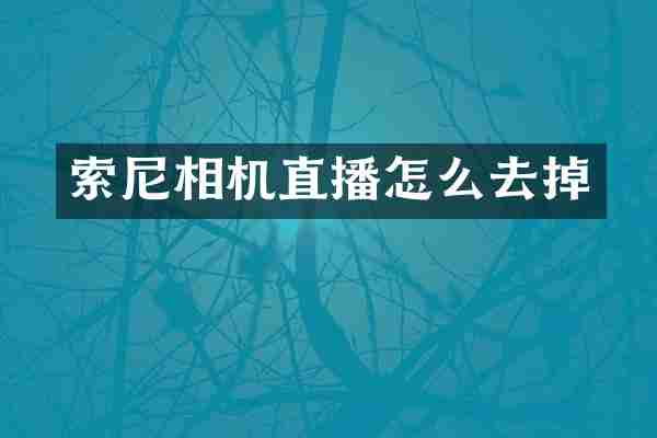 相机直播怎么去掉