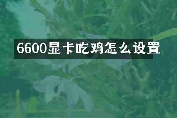 6600显卡吃鸡怎么设置