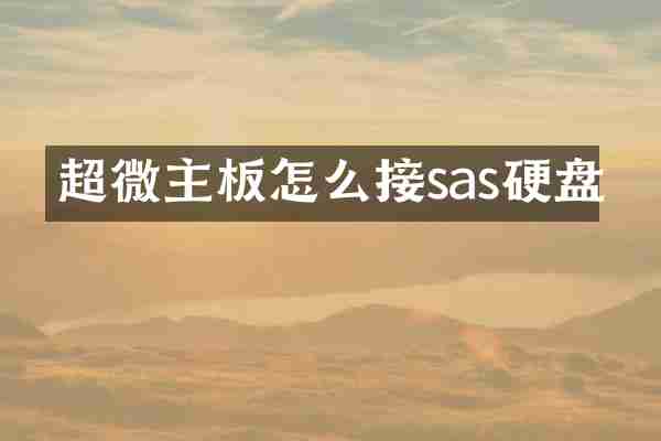 超微主板怎么接sas硬盘
