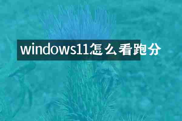 windows11怎么看跑分