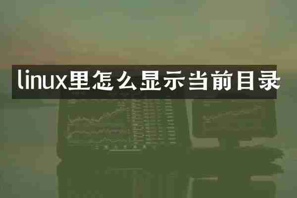 linux里怎么显示当前目录