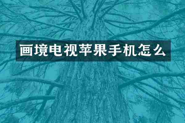 画境电视苹果手机怎么