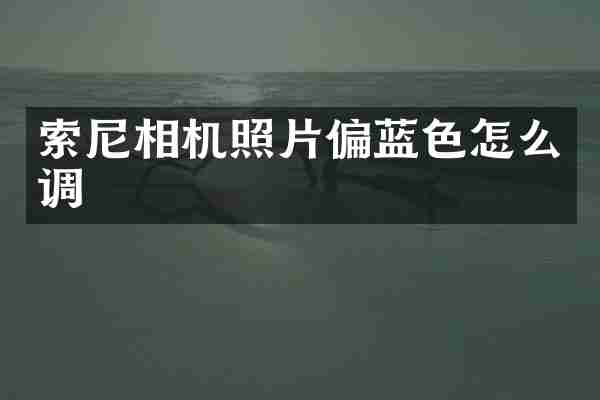 索尼相机照片偏蓝色怎么调