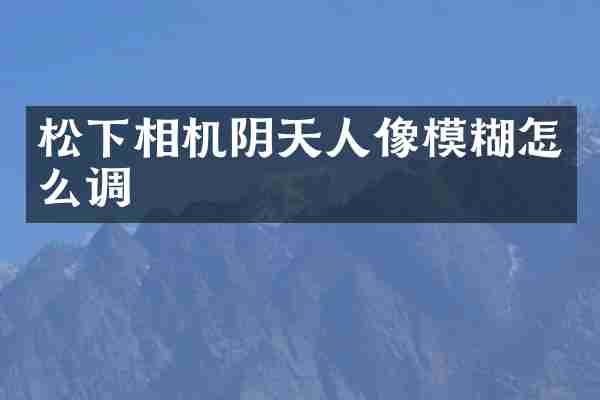 相机阴天人像模糊怎么调