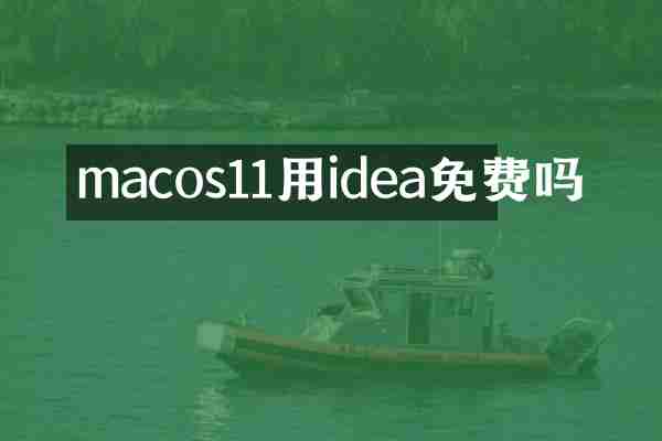 macos11用idea免费吗
