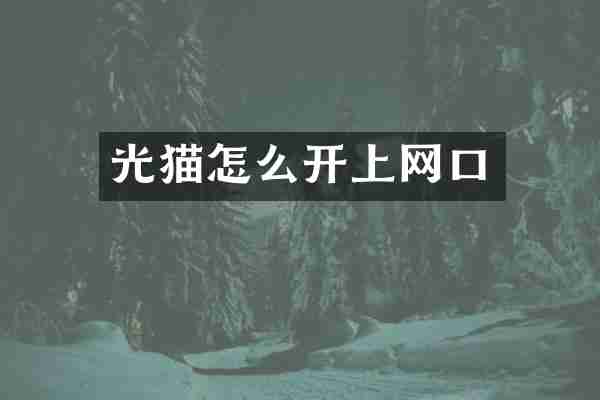 光猫怎么开上网口