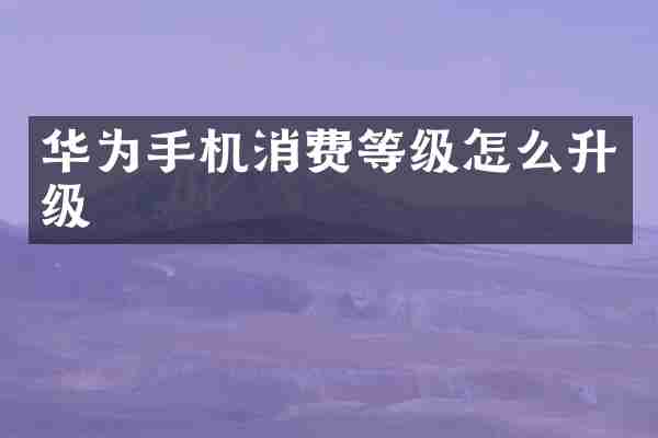 华为手机消费等级怎么升级