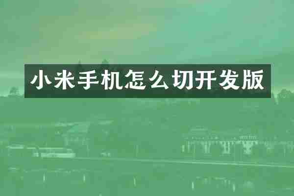 小米手机怎么切开发版