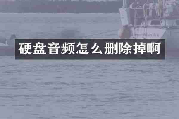 硬盘音频怎么删除掉啊