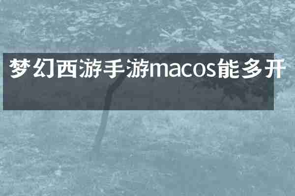 梦幻西游手游macos能多开吗