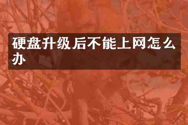 硬盘升级后不能上网怎么办