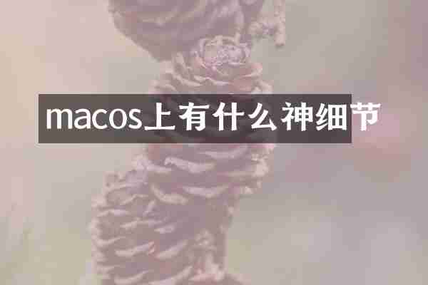 macos上有什么神细节