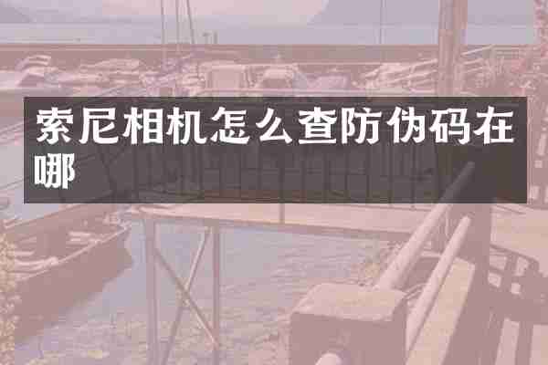 相机怎么查防伪码在哪