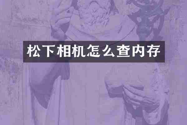 松下相机怎么查内存