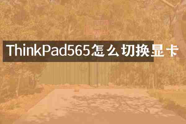 ThinkPad565怎么切换显卡