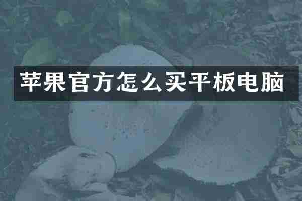 苹果官方怎么买平板电脑