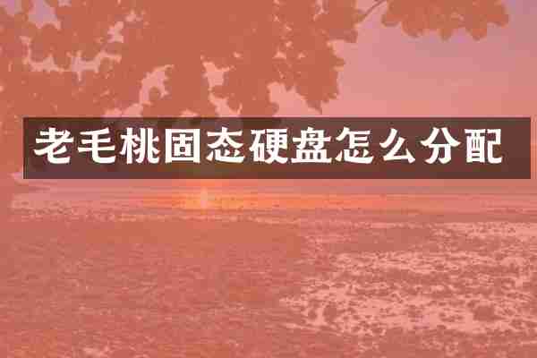 老毛桃固态硬盘怎么分配