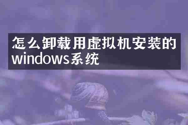 怎么卸载用虚拟机安装的windows系统