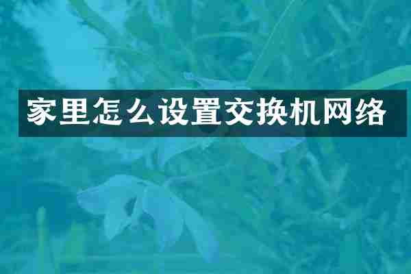 家里怎么设置交换机网络