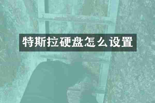 特斯拉硬盘怎么设置