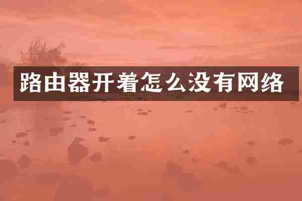 路由器开着怎么没有网络