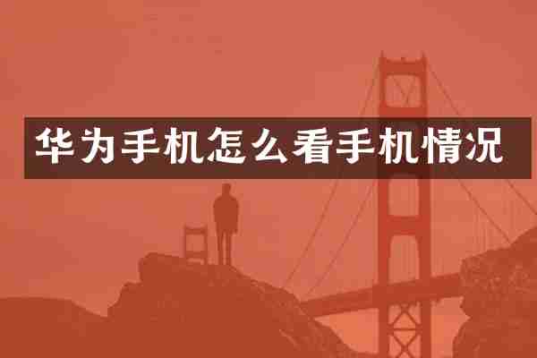 华为手机怎么看手机情况