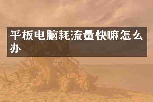 平板电脑耗流量快嘛怎么办